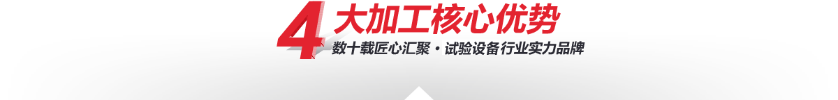 —4大加工核心優(yōu)勢(shì) —4大核心加工優(yōu)勢(shì)